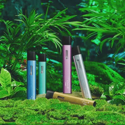 Dream forest 1gr con seguro