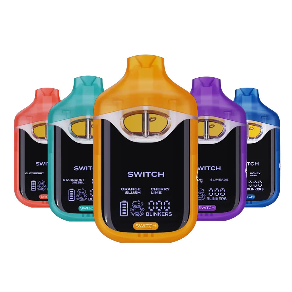 BOUTIQ SWITCH V4 2gr